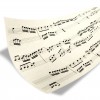 Centre Musical