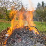 Burning of garden waste