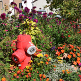 Massif_fleurs_Place_P_Mennegand