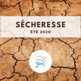 Sécheresse 2020