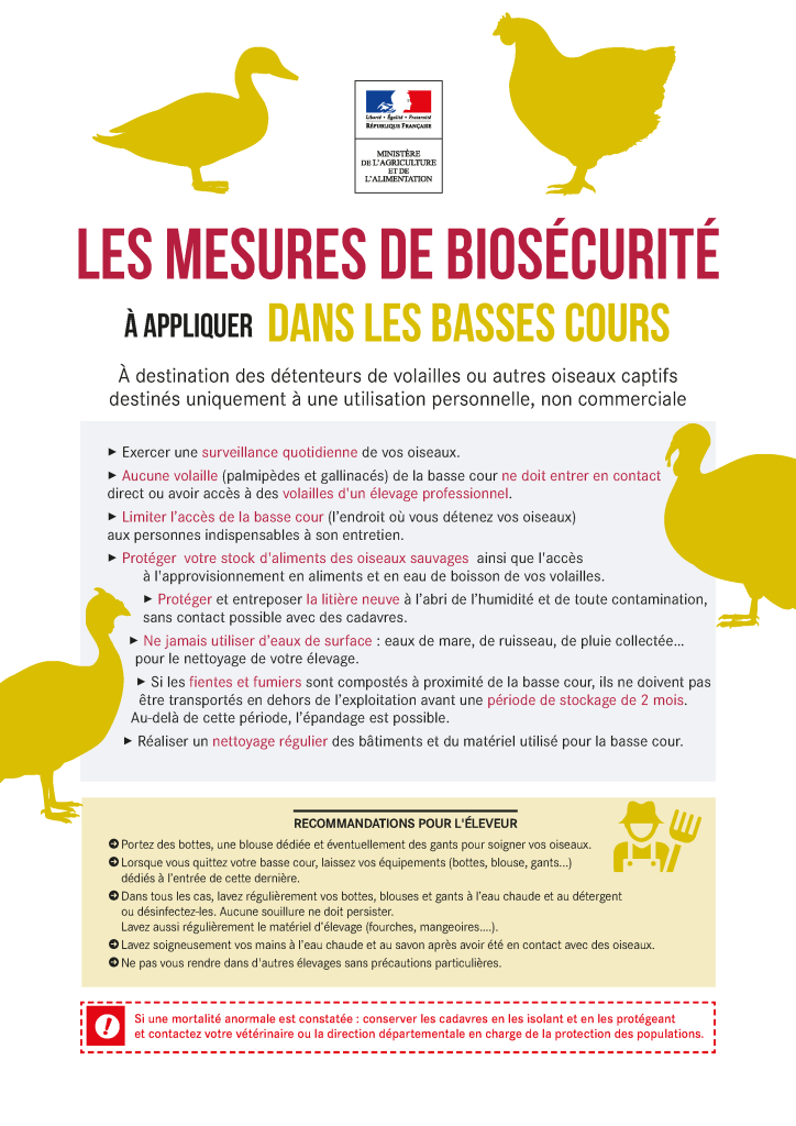 INFLUENZA AVIAIRE DECEMBRE 2020