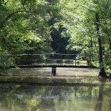 Etang