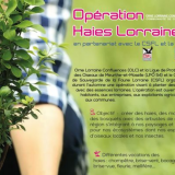 OLC Haies Lorraines