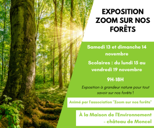 Zoom sur nos forets