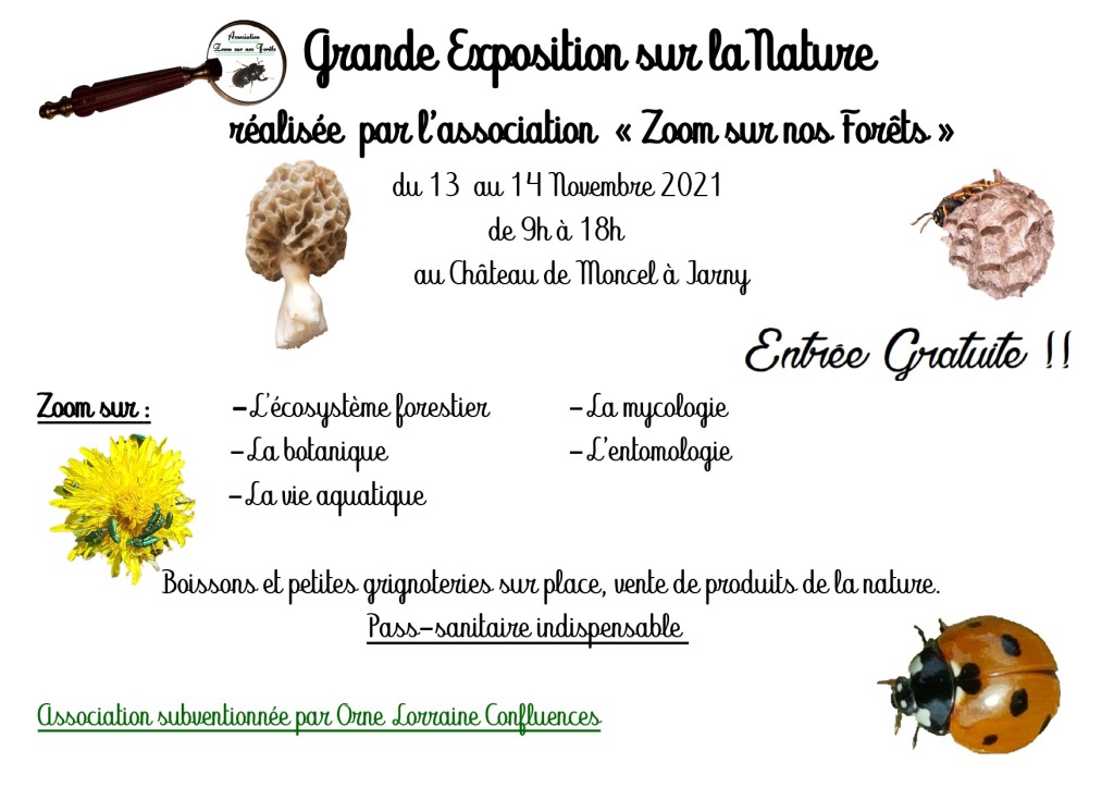 affiche expo Chateau Jarny_page-0001