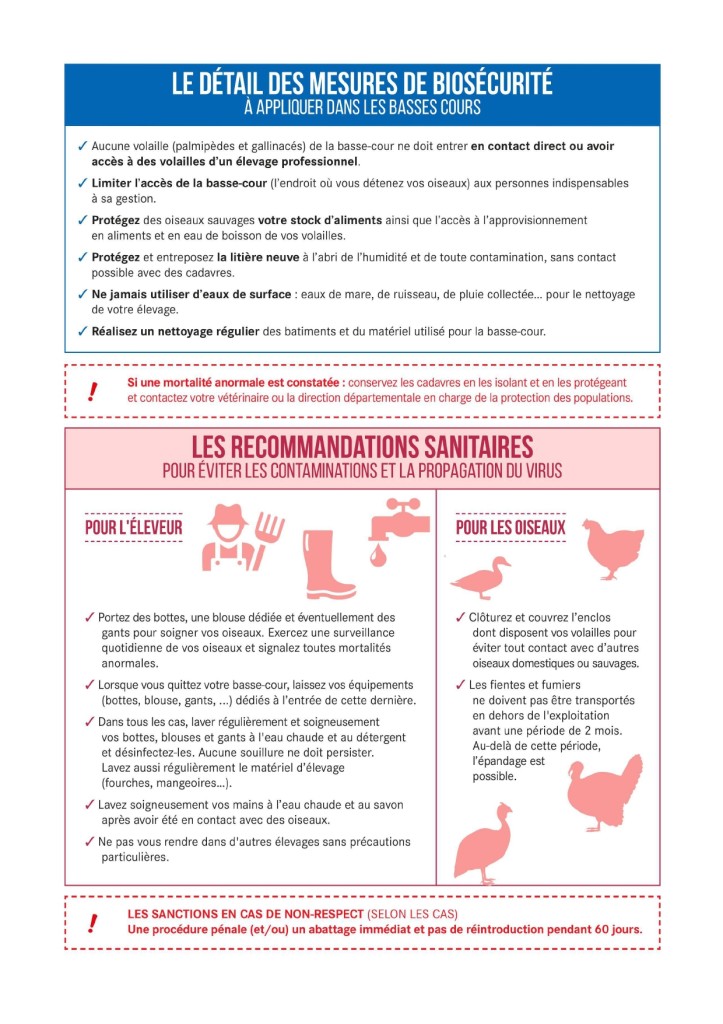 Flyer mesures influenza