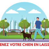 logo tenue chien laisse