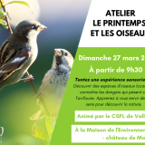 printemps de oiseaux